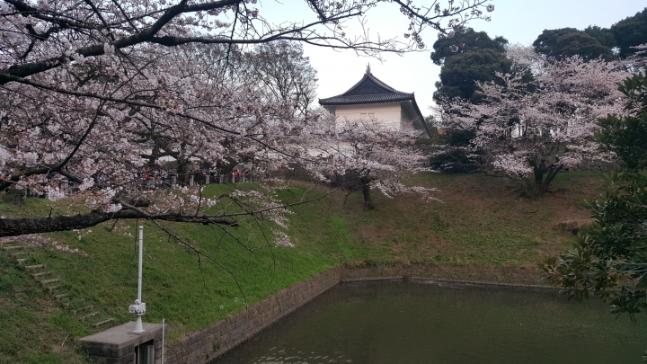 【日本‧東京】前進東京十天九夜築夢之旅（文長）