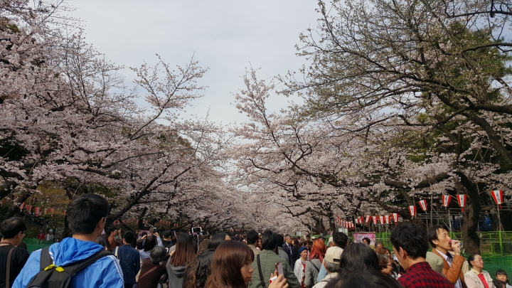【日本‧東京】前進東京十天九夜築夢之旅（文長）