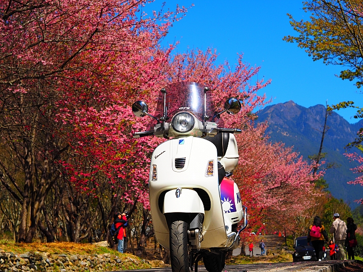 60周年 SR400 紀念款