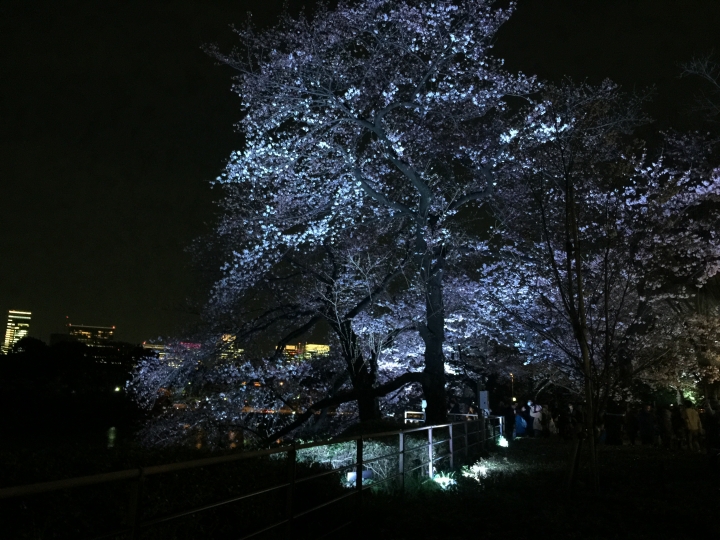 【日本‧東京】前進東京十天九夜築夢之旅（文長）
