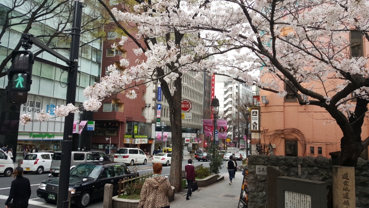 【日本‧東京】前進東京十天九夜築夢之旅（文長）