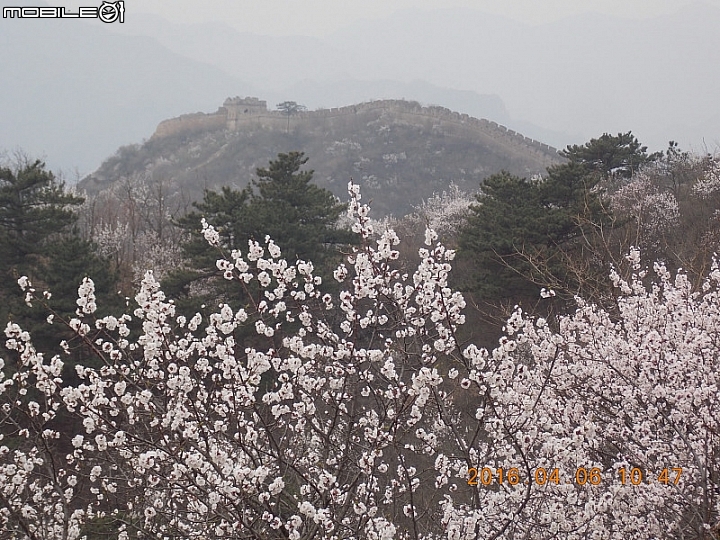 撞道口長城 (鎮虜關)