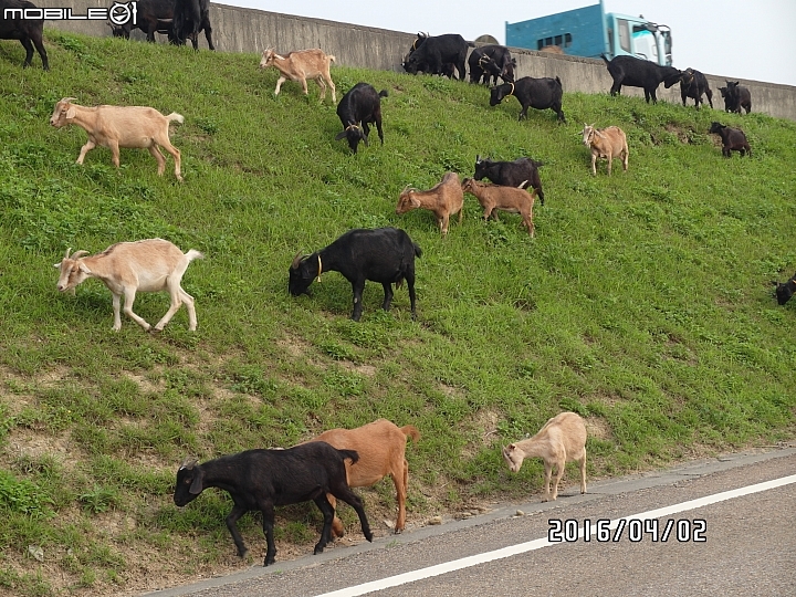 給自己的生日禮物 － 單速車環島遊記