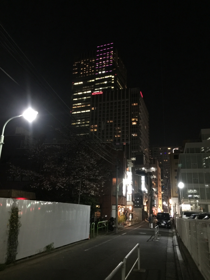 【日本‧東京】前進東京十天九夜築夢之旅（文長）
