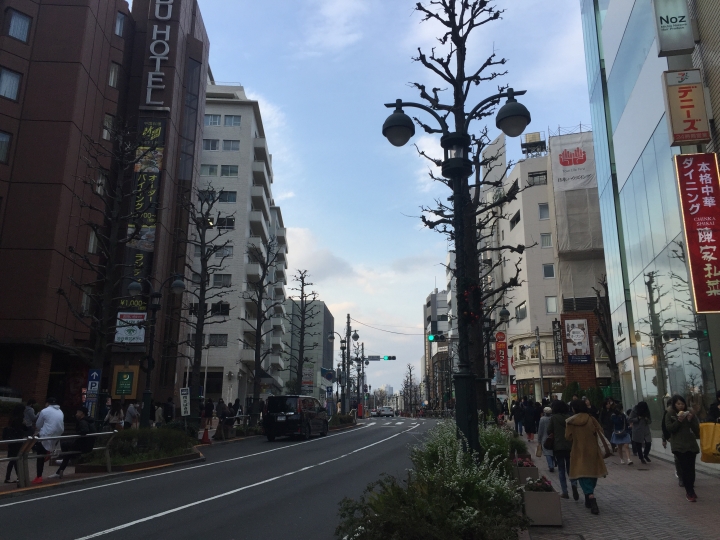 【日本‧東京】前進東京十天九夜築夢之旅（文長）
