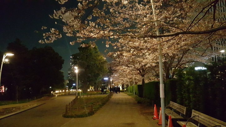 【日本‧東京】前進東京十天九夜築夢之旅（文長）
