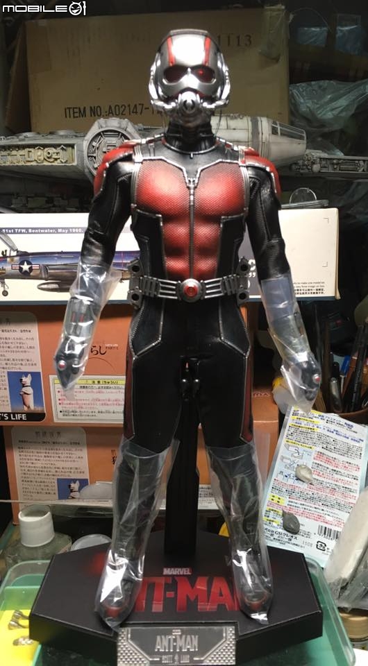 1/6活動人偶蒐藏:蟻人-史考特郎恩(Hot Toys MMS308)