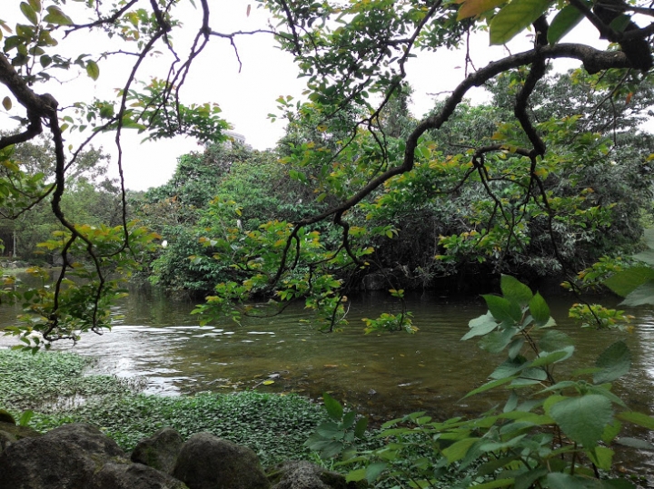 大安森林公園練拍