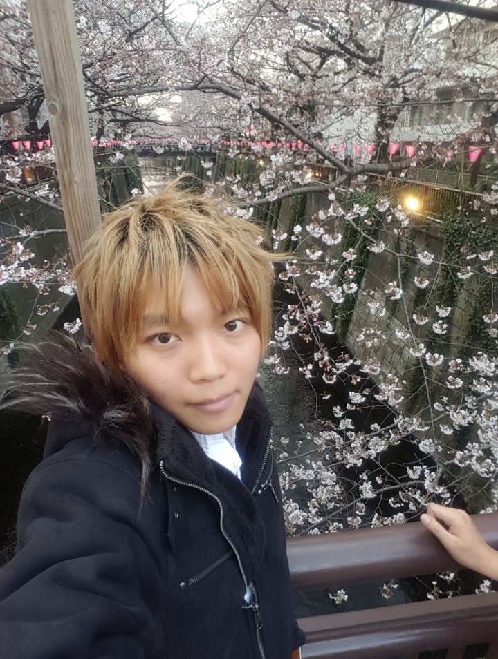 【日本‧東京】前進東京十天九夜築夢之旅（文長）