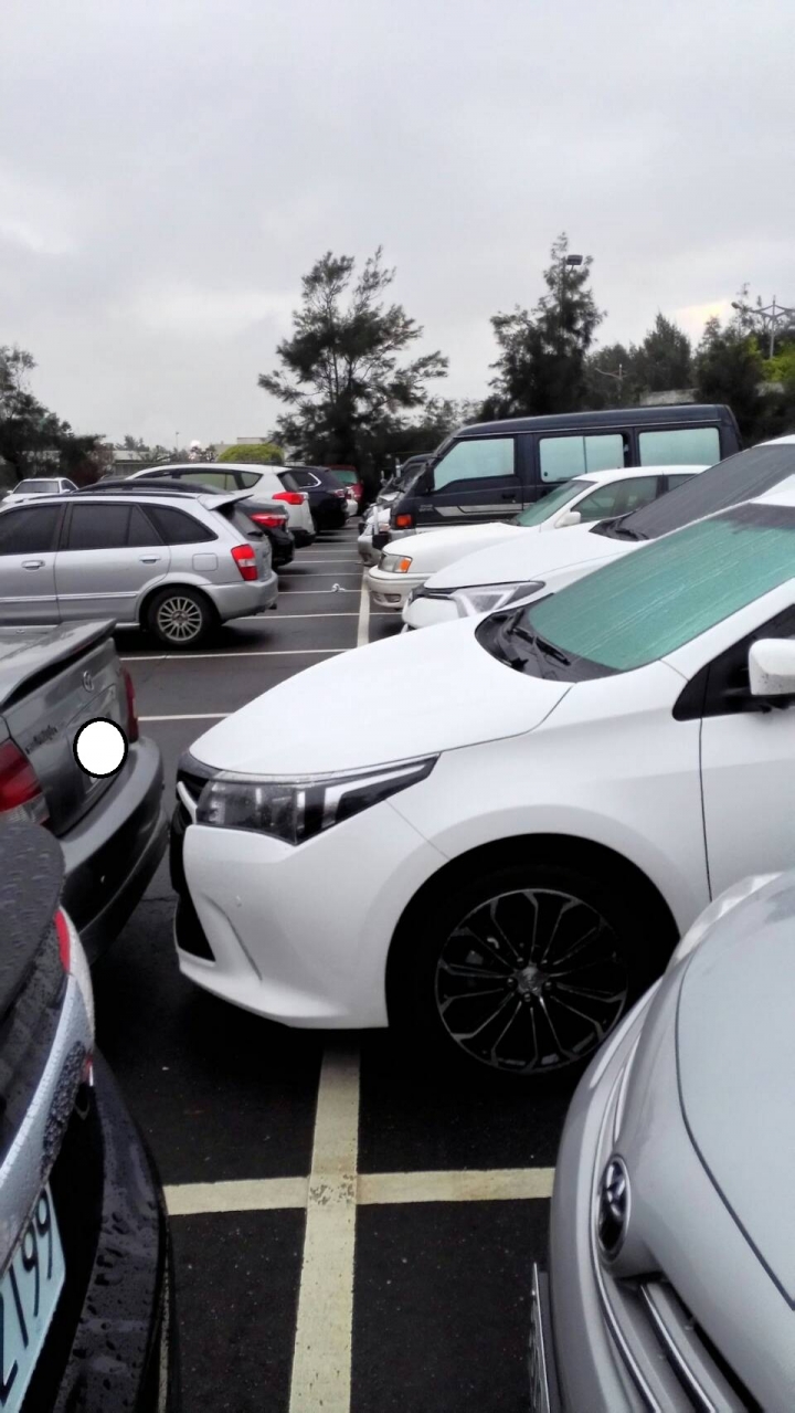 有一種停車方式叫停一格不夠