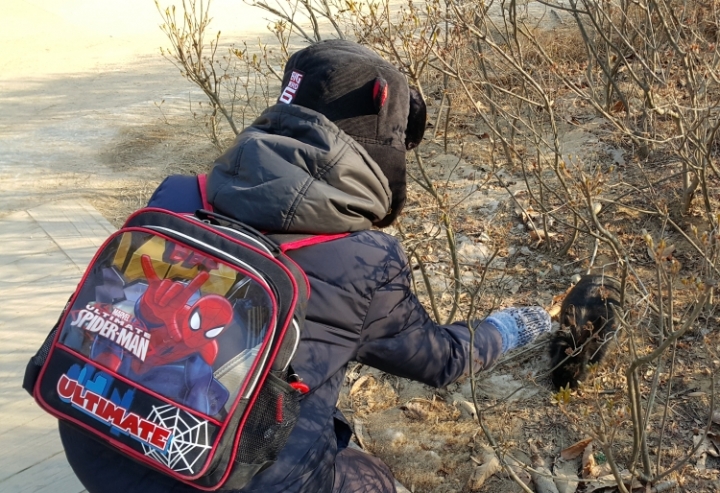 [遊記]2016冷吱吱首爾之旅(第五天_2016/1/21)