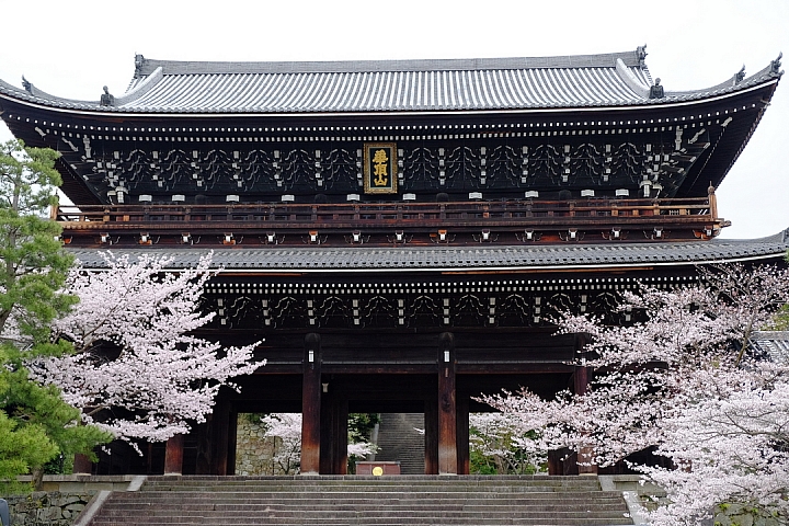 2016 京都賞櫻