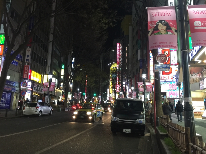 【日本‧東京】前進東京十天九夜築夢之旅（文長）