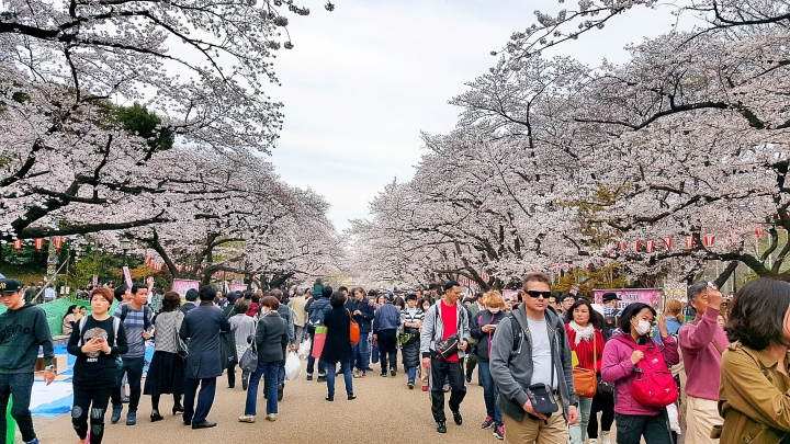 【日本‧東京】前進東京十天九夜築夢之旅（文長）