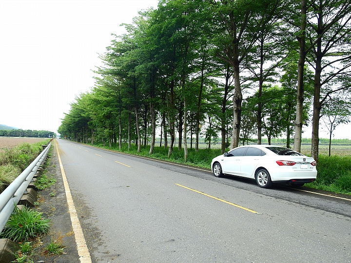 Luxgen S3偽裝車能來屏東這些道路嗎？保證很少被發現