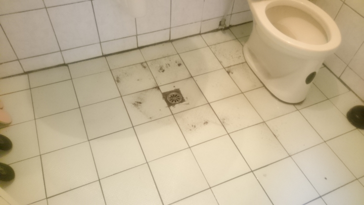 我家廚房和廁所淹水了