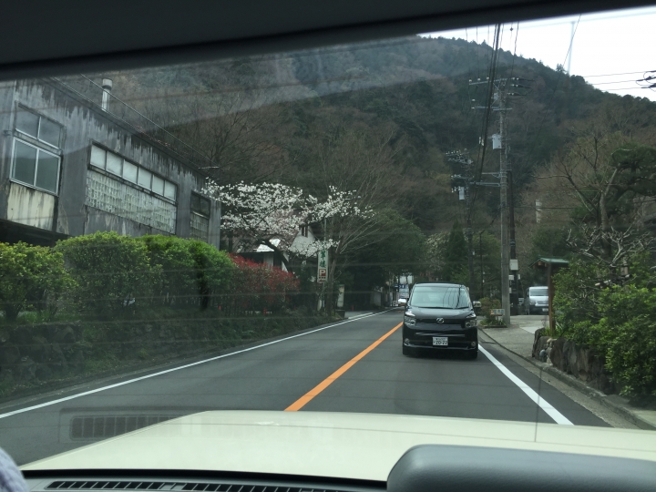 【日本‧東京】前進東京十天九夜築夢之旅（文長）