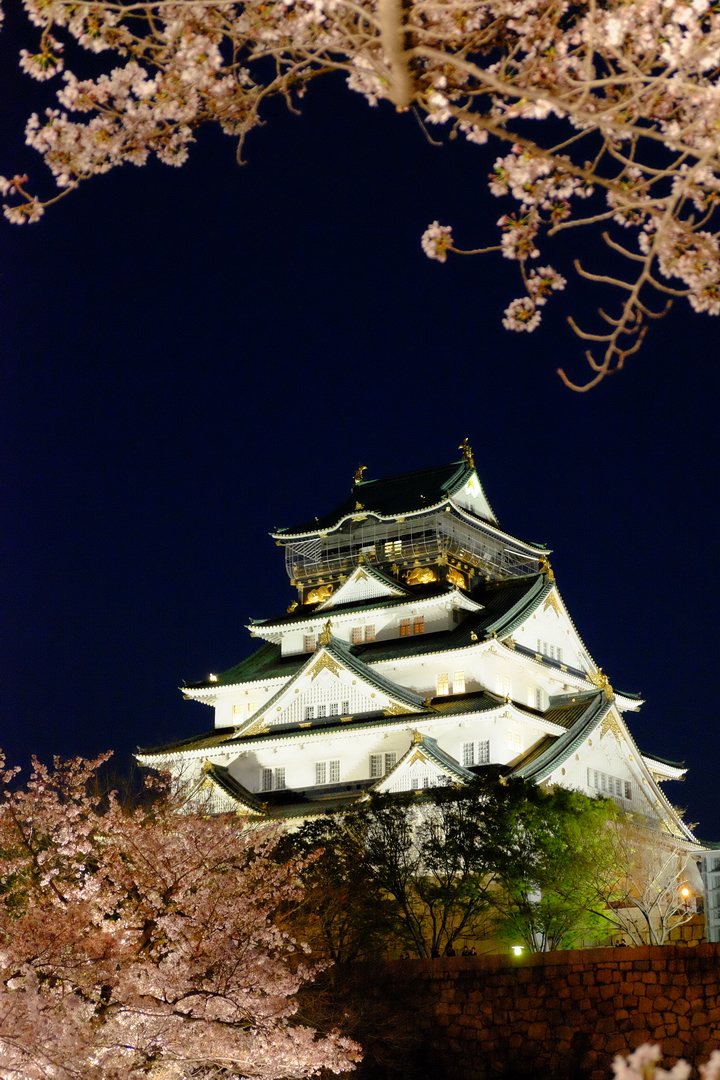 2016 京都賞櫻