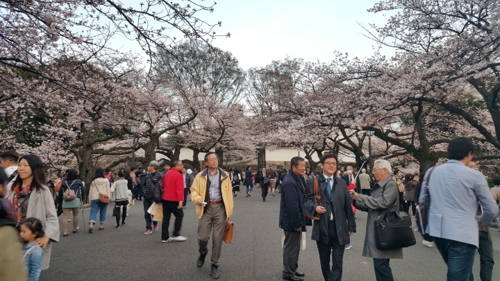 【日本‧東京】前進東京十天九夜築夢之旅（文長）
