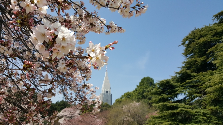 【日本‧東京】前進東京十天九夜築夢之旅（文長）