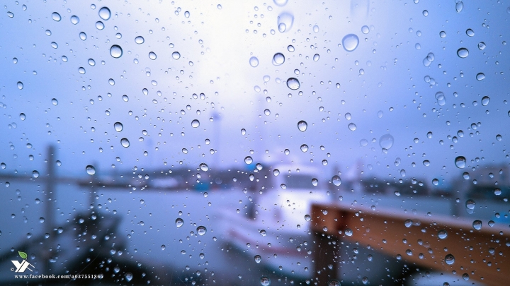 (第46批圖) LG G4 &G5&V10 日夜拍研究團 精選作品2016.4.26