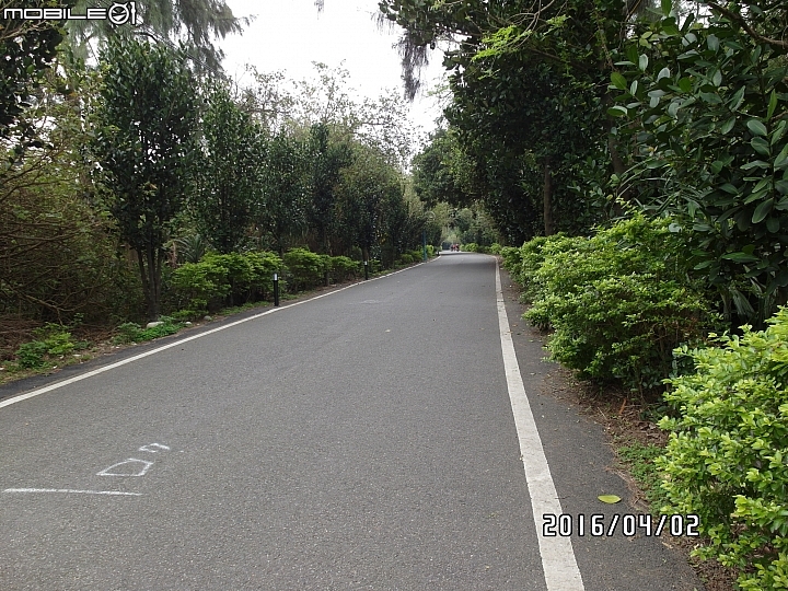 給自己的生日禮物 － 單速車環島遊記