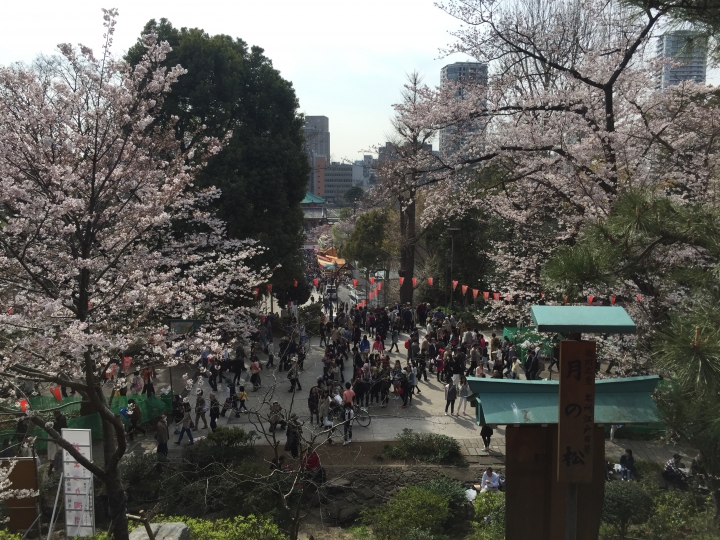 【日本‧東京】前進東京十天九夜築夢之旅（文長）