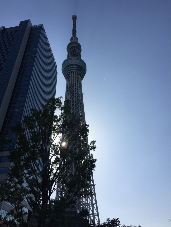 【日本‧東京】前進東京十天九夜築夢之旅（文長）