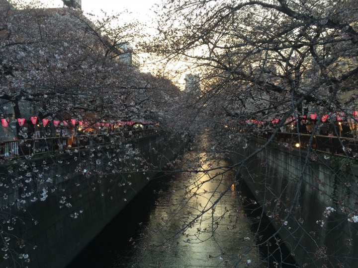 【日本‧東京】前進東京十天九夜築夢之旅（文長）