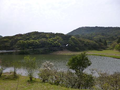 好天氣開M7  野餐去 賞海芋