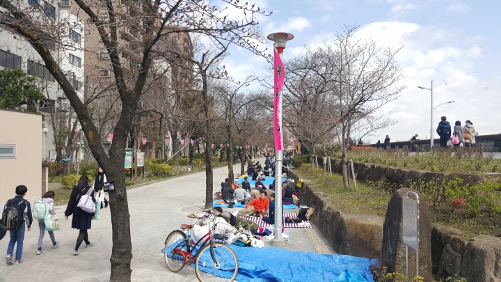 【日本‧東京】前進東京十天九夜築夢之旅（文長）