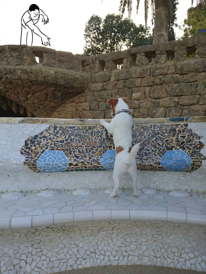 SONY 原廠 Xperia X 實拍