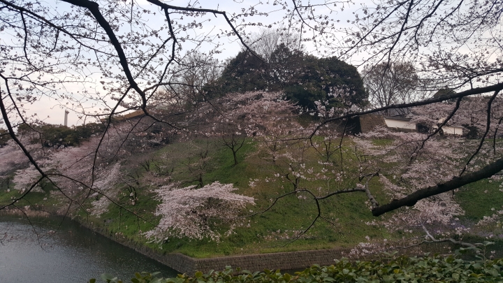 【日本‧東京】前進東京十天九夜築夢之旅（文長）