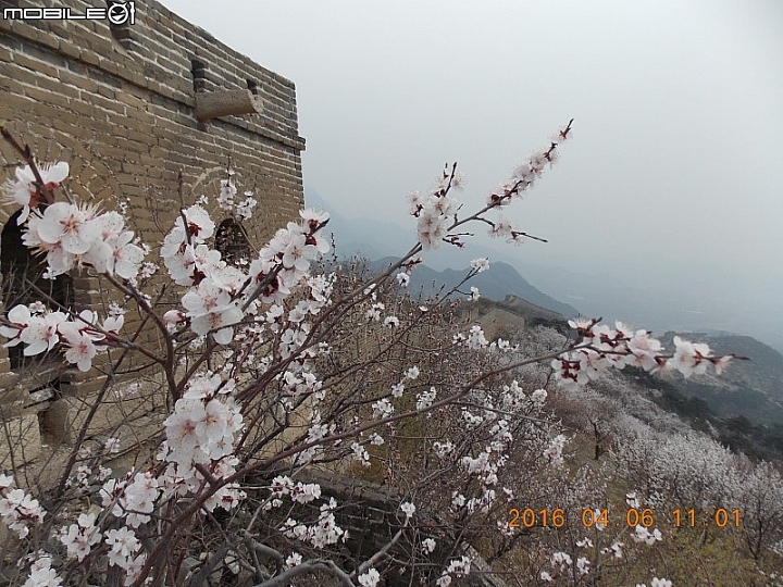撞道口長城 (鎮虜關)