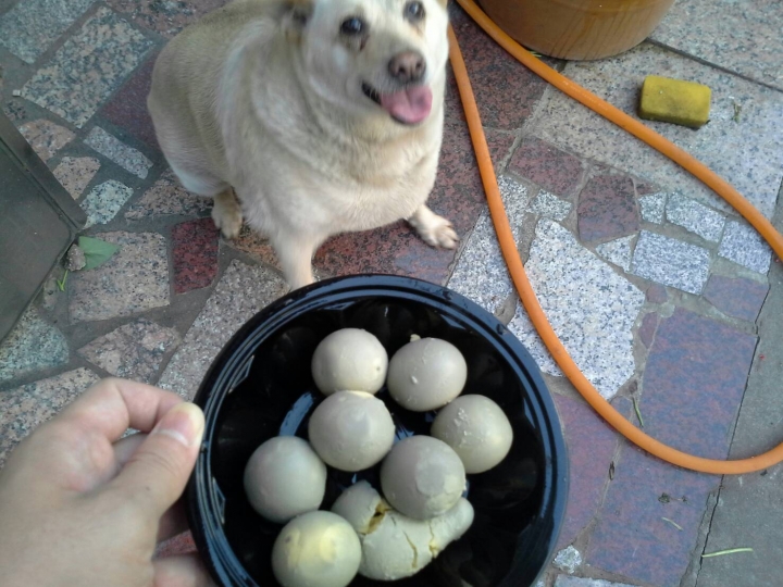 天然A最好!!!