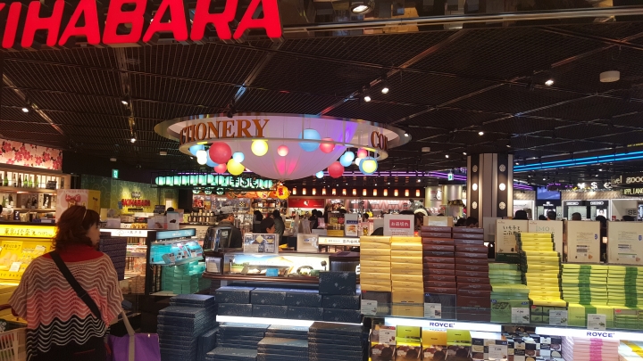 【日本‧東京】前進東京十天九夜築夢之旅（文長）