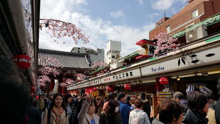 【日本‧東京】前進東京十天九夜築夢之旅（文長）