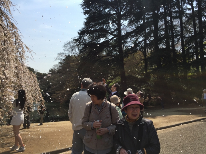 【日本‧東京】前進東京十天九夜築夢之旅（文長）