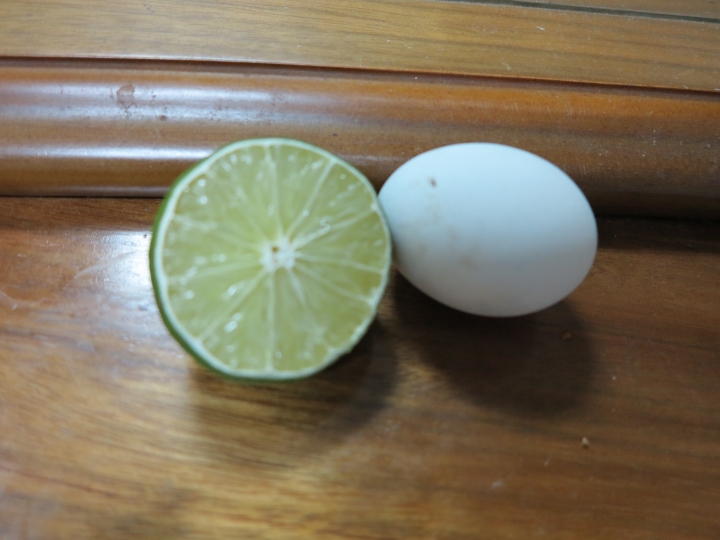 竟然有這麼白爛的打賭