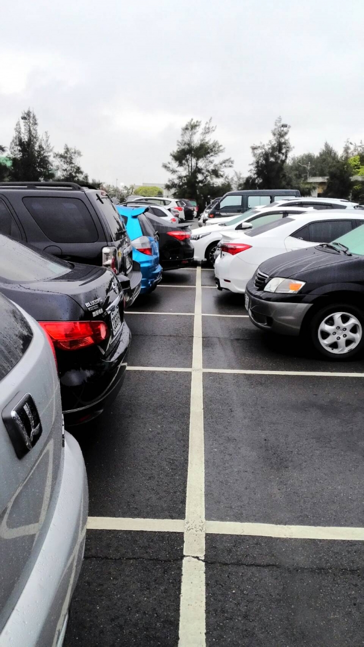 有一種停車方式叫停一格不夠