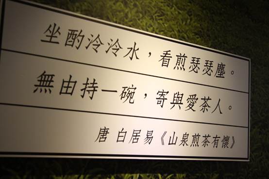 「走吧！跟著感覺前進，開著Passat B8 280 TSI的微旅行」