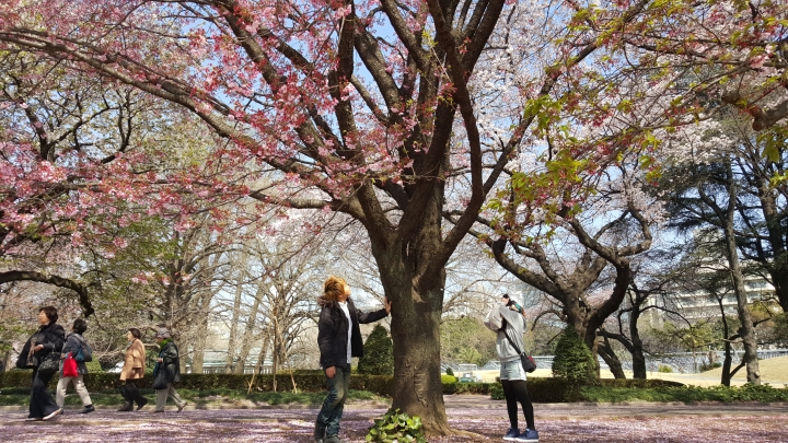 【日本‧東京】前進東京十天九夜築夢之旅（文長）