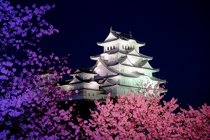 2016 京都賞櫻