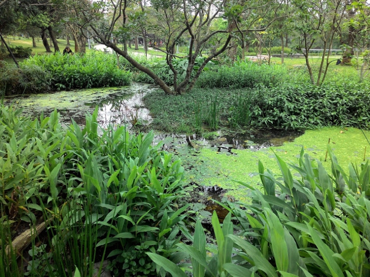 大安森林公園練拍