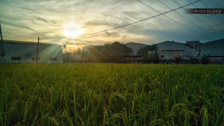 (第46批圖) LG G4 &G5&V10 日夜拍研究團 精選作品2016.4.26