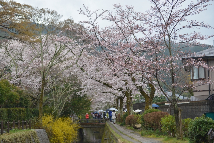日本旅行-DAY2(圖多)