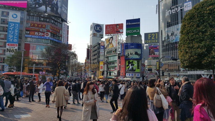 【日本‧東京】前進東京十天九夜築夢之旅（文長）