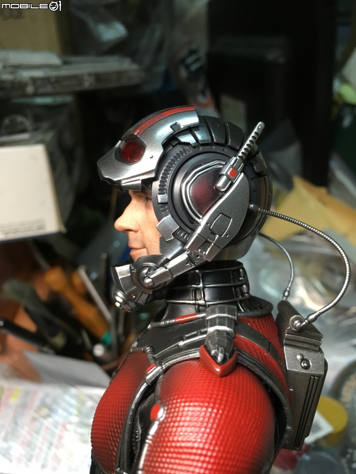 1/6活動人偶蒐藏:蟻人-史考特郎恩(Hot Toys MMS308)