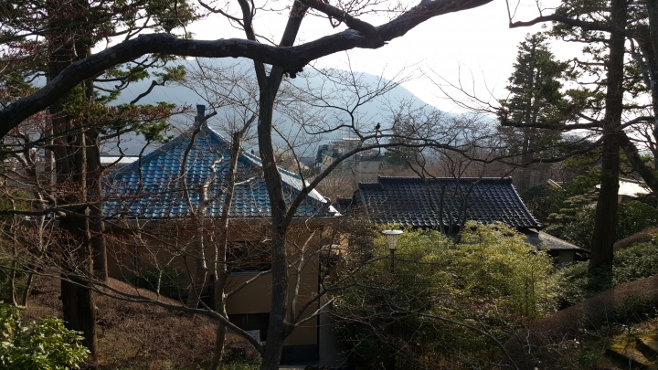 【日本‧東京】前進東京十天九夜築夢之旅（文長）