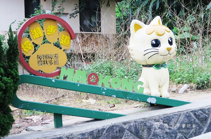 台北木柵~貓空樟樹樟湖環狀步道賞魯冰花